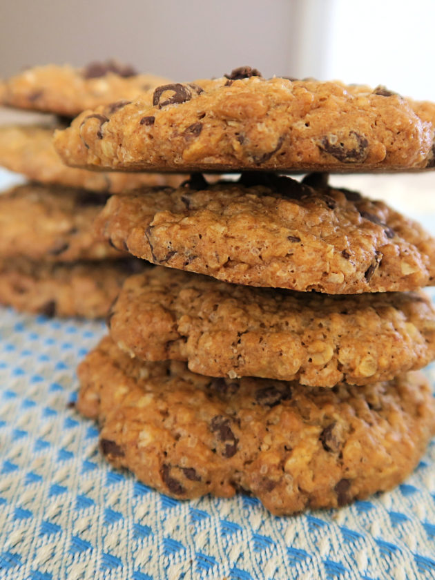 cookies healthy flocons d'avoine les plaisirs sains